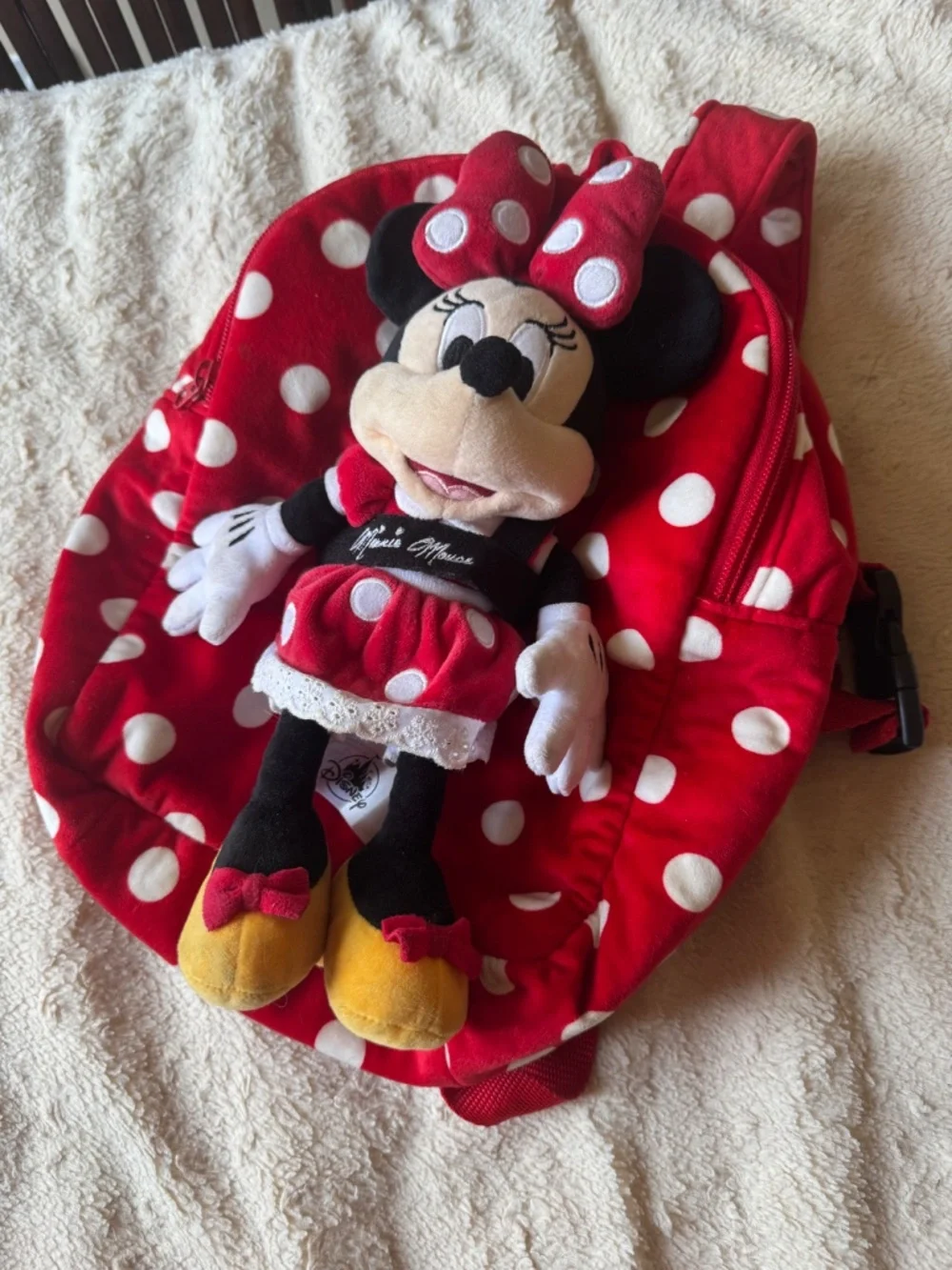 Disney’s back pack